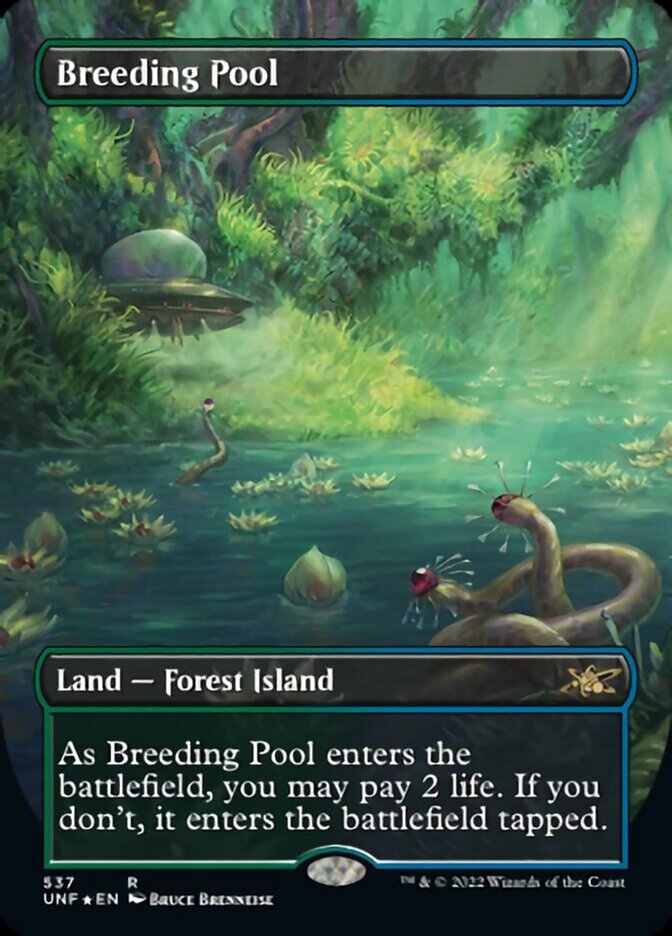 Breeding Pool (Borderless) (Galaxy Foil) [Unfinity] | Galaxy Games LLC