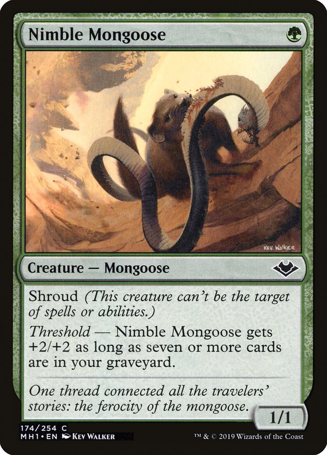 Nimble Mongoose [Modern Horizons] | Galaxy Games LLC