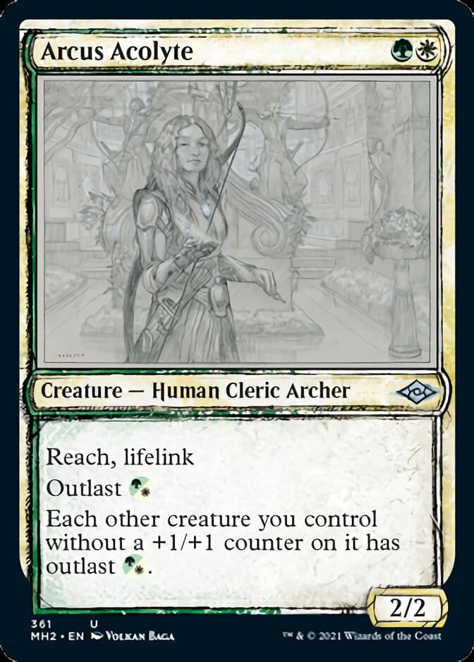 Arcus Acolyte (Sketch) [Modern Horizons 2] | Galaxy Games LLC