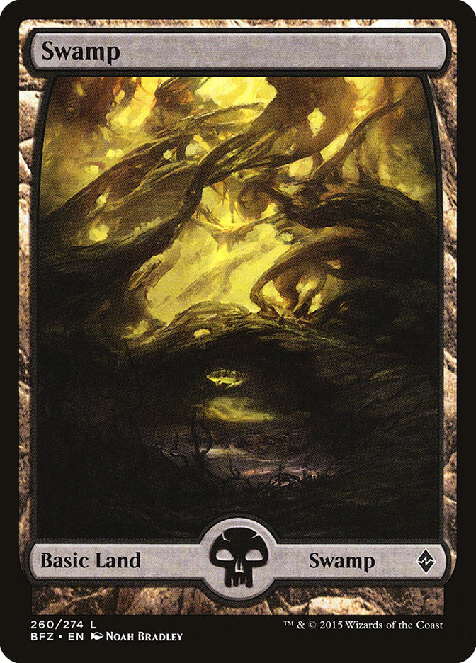 Swamp (260) (Full Art) [Battle for Zendikar] | Galaxy Games LLC