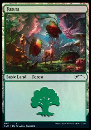 Forest (Predatory) (578) [Secret Lair Drop Promos] | Galaxy Games LLC