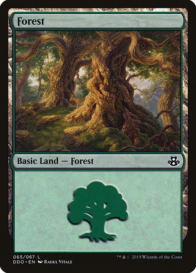 Forest (65) [Duel Decks: Elspeth vs. Kiora] | Galaxy Games LLC