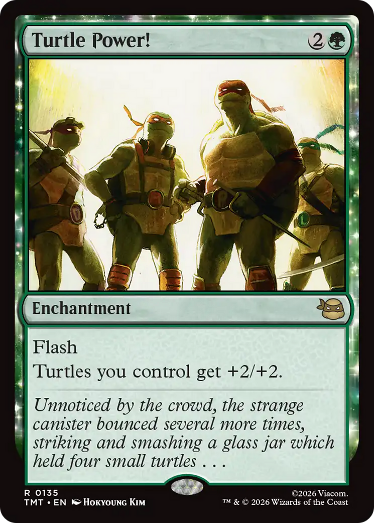 Turtle Power! [Teenage Mutant Ninja Turtles] | Galaxy Games LLC