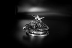 Secret Lair: Drop Series - Here Be Dragons (Foil Edition) | Galaxy Games LLC