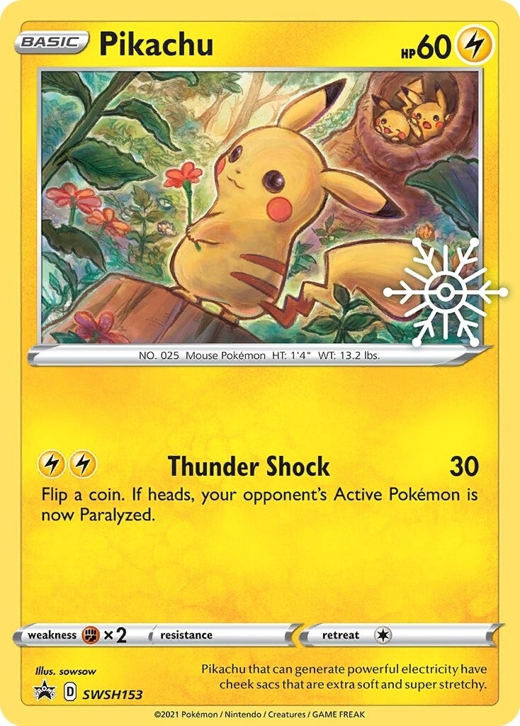 Pikachu (SWSH153) (Holiday Calendar) [Sword & Shield: Black Star Promos] | Galaxy Games LLC