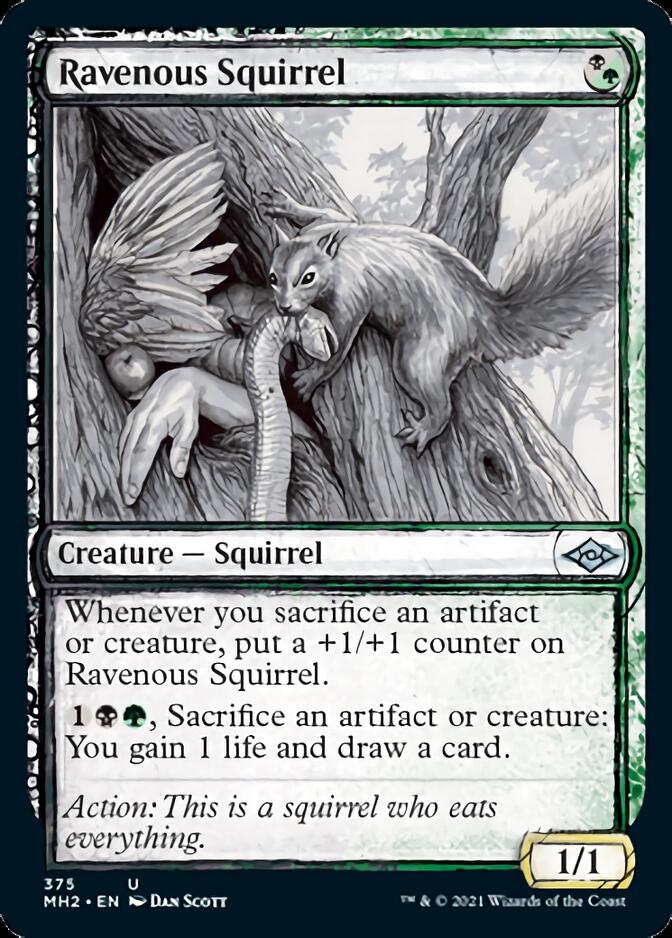 Ravenous Squirrel (Sketch) [Modern Horizons 2] | Galaxy Games LLC