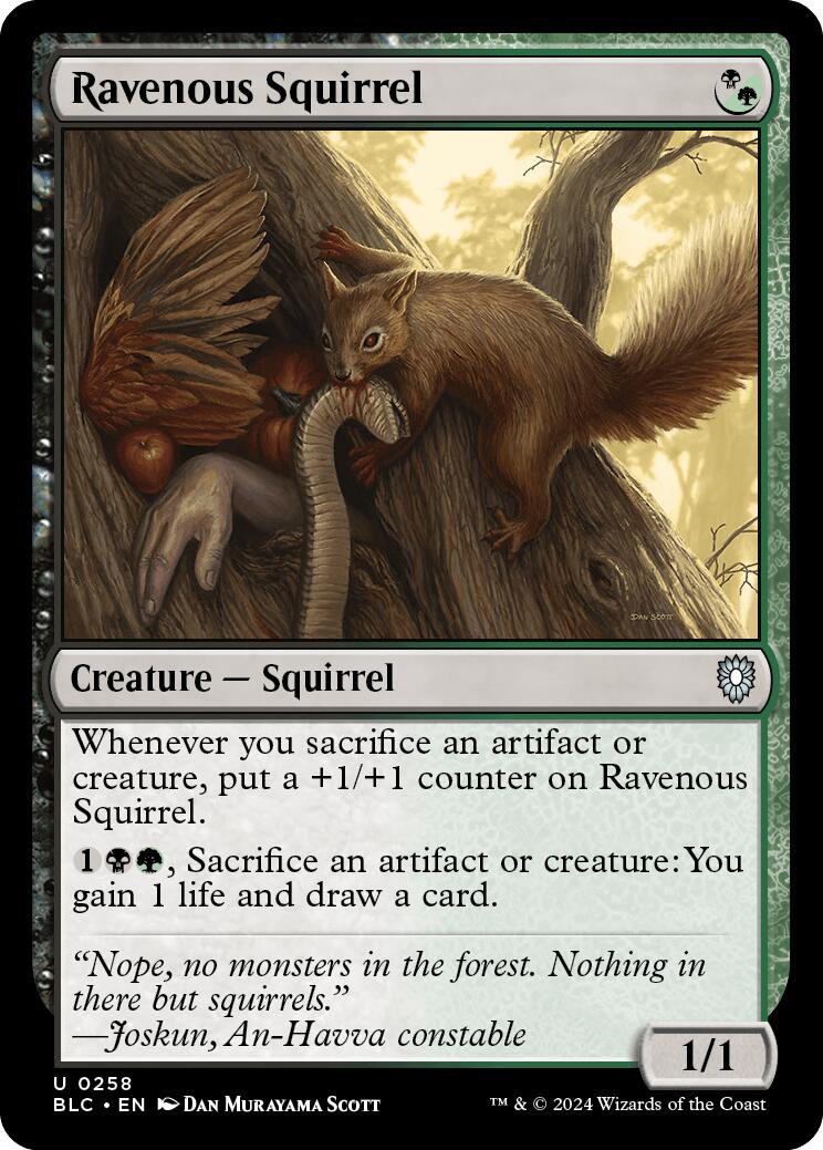 Ravenous Squirrel [Bloomburrow Commander] | Galaxy Games LLC