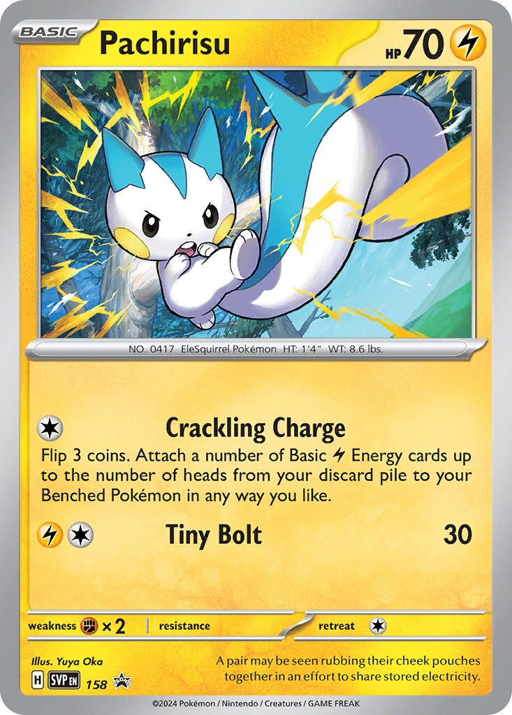 Pachirisu (158) [Scarlet & Violet: Black Star Promos] | Galaxy Games LLC