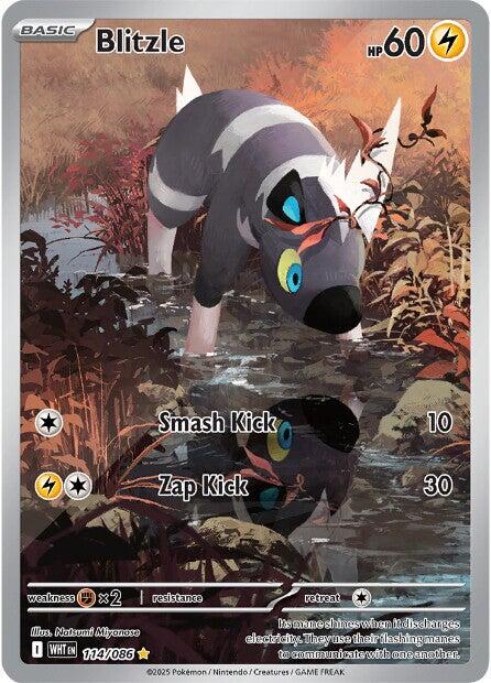 Blitzle (114/086) [Scarlet & Violet: White Flare] | Galaxy Games LLC
