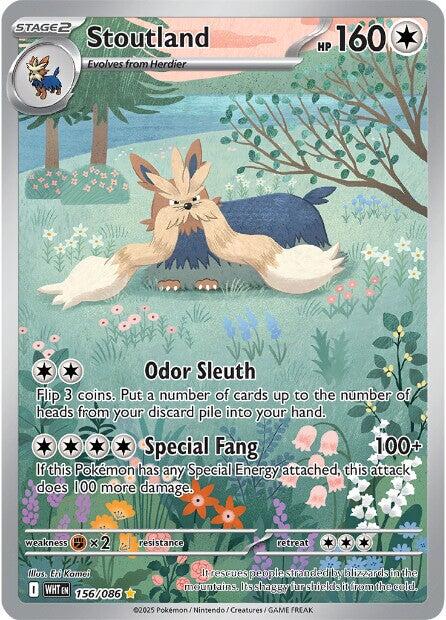 Stoutland (156/086) [Scarlet & Violet: White Flare] | Galaxy Games LLC