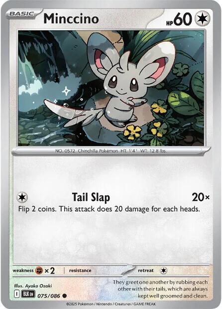 Minccino (075/086) [Scarlet & Violet: Black Bolt] | Galaxy Games LLC