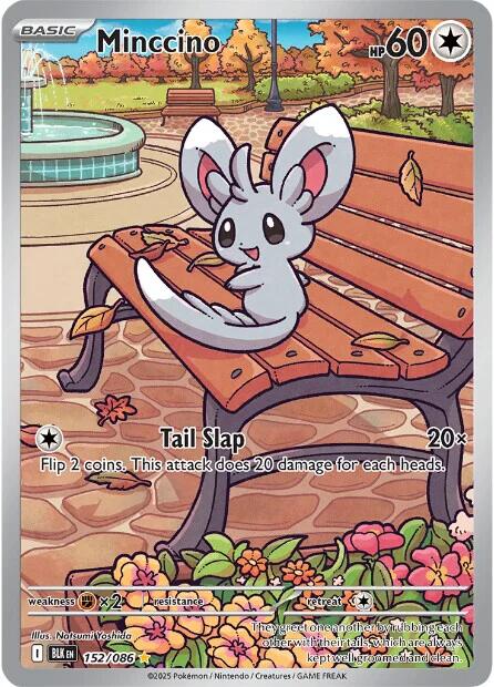 Minccino (152/086) [Scarlet & Violet: Black Bolt] | Galaxy Games LLC