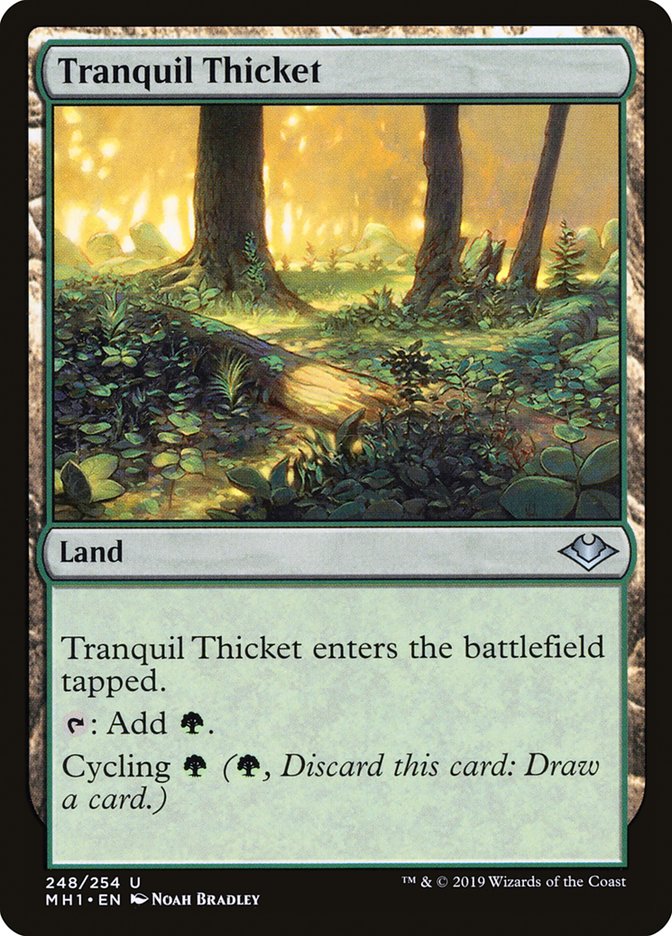 Tranquil Thicket [Modern Horizons] | Galaxy Games LLC