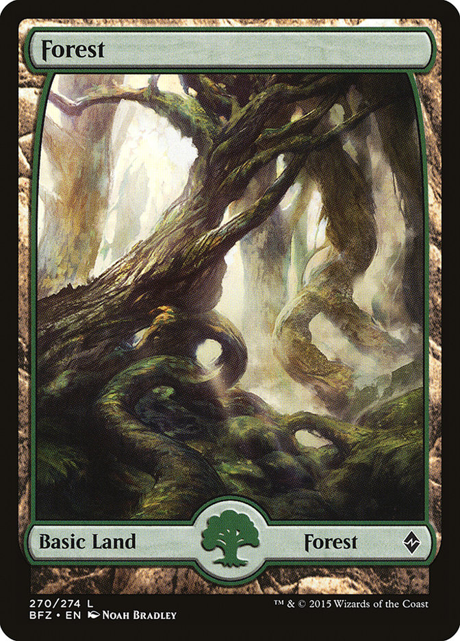 Forest (270) (Full Art) [Battle for Zendikar] | Galaxy Games LLC