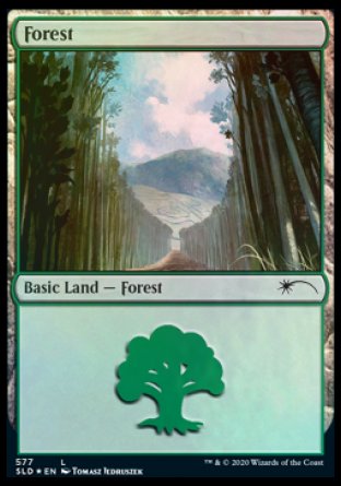 Forest (Walls) (577) [Secret Lair Drop Promos] | Galaxy Games LLC