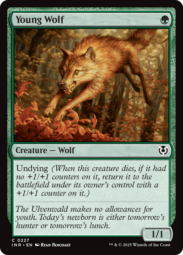 Young Wolf [Innistrad Remastered] | Galaxy Games LLC