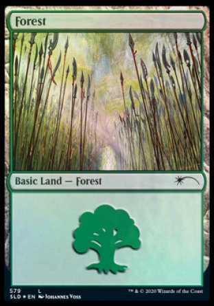 Forest (Elves) (579) [Secret Lair Drop Promos] | Galaxy Games LLC