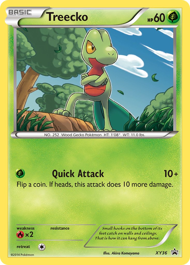 Treecko (XY36) [XY: Black Star Promos] | Galaxy Games LLC