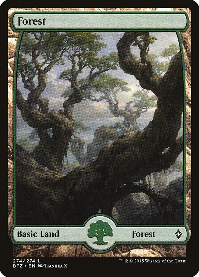 Forest (274) (Full Art) [Battle for Zendikar] | Galaxy Games LLC