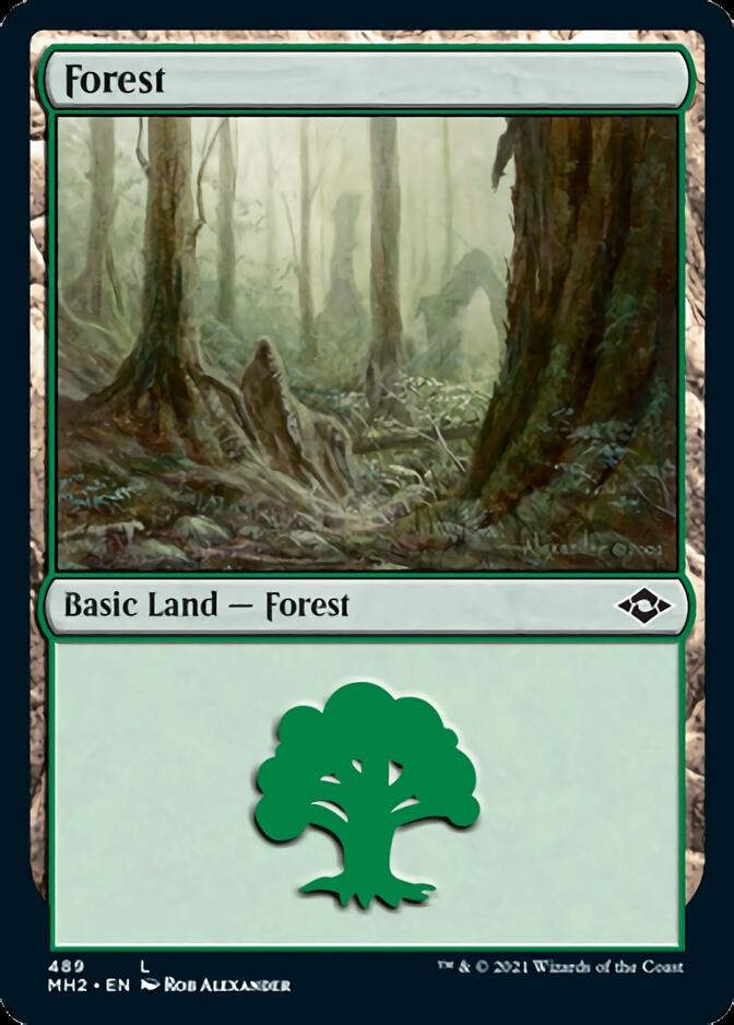 Forest (489) (Foil Etched) [Modern Horizons 2] | Galaxy Games LLC