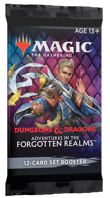 Dungeons & Dragons: Adventures in the Forgotten Realms - Set Booster Pack | Galaxy Games LLC