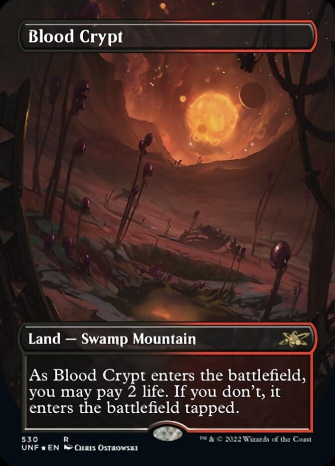 Blood Crypt (Borderless) (Galaxy Foil) [Unfinity] | Galaxy Games LLC