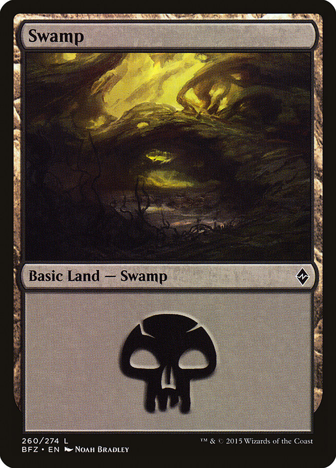 Swamp (260) [Battle for Zendikar] | Galaxy Games LLC