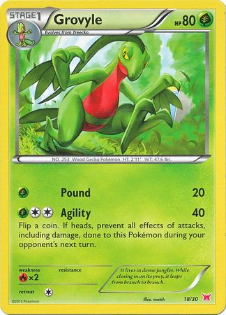 Grovyle (18/30) [XY: Trainer Kit 2 - Latias] | Galaxy Games LLC