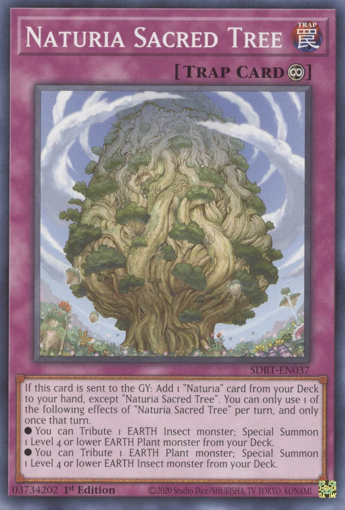 Naturia Sacred Tree [SDBT-EN037] Common | Galaxy Games LLC