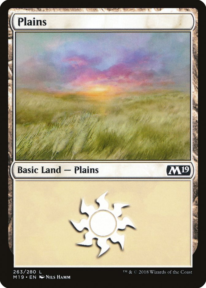Plains (263) [Core Set 2019] | Galaxy Games LLC