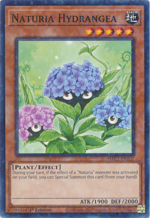 Naturia Hydrangea (Duel Terminal) [HAC1-EN107] Common | Galaxy Games LLC