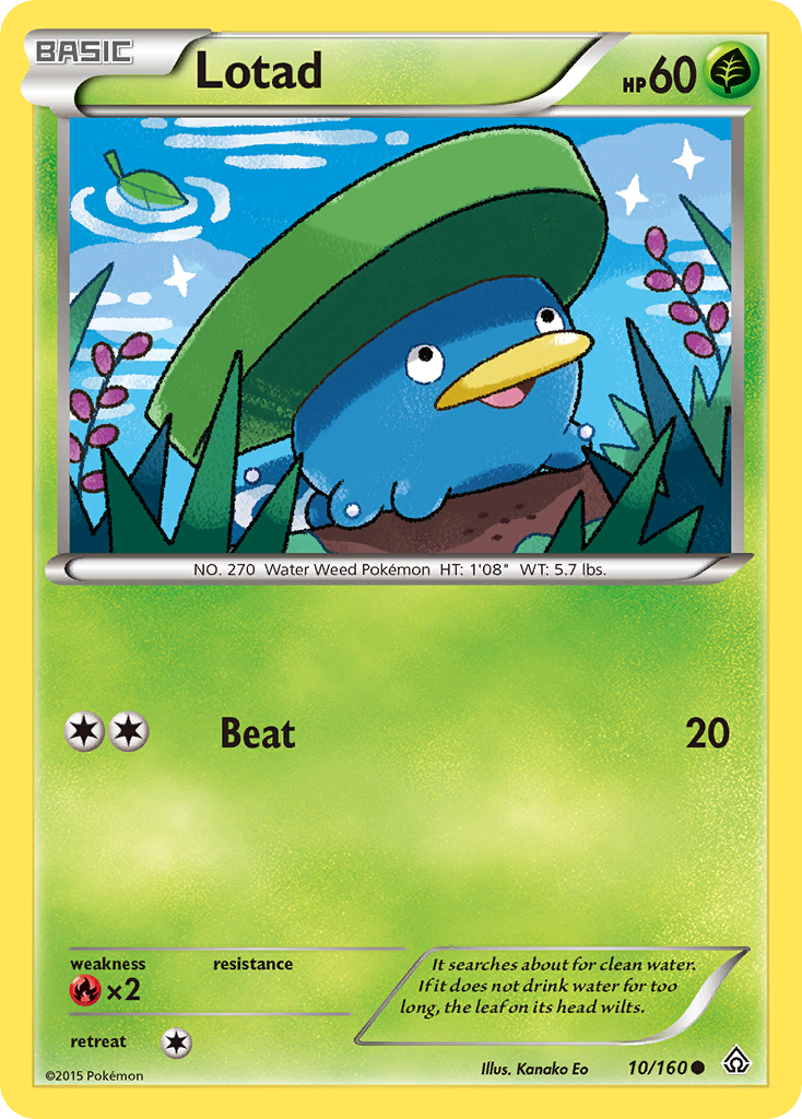 Lotad (10/160) [XY: Primal Clash] | Galaxy Games LLC