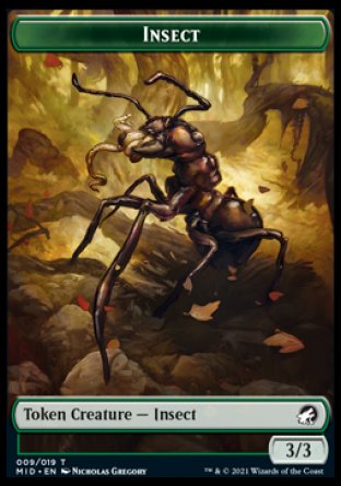 Insect Token [Innistrad: Midnight Hunt Tokens] | Galaxy Games LLC