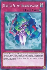 Ninjitsu Art of Transformation [SHVA-EN028] Super Rare | Galaxy Games LLC