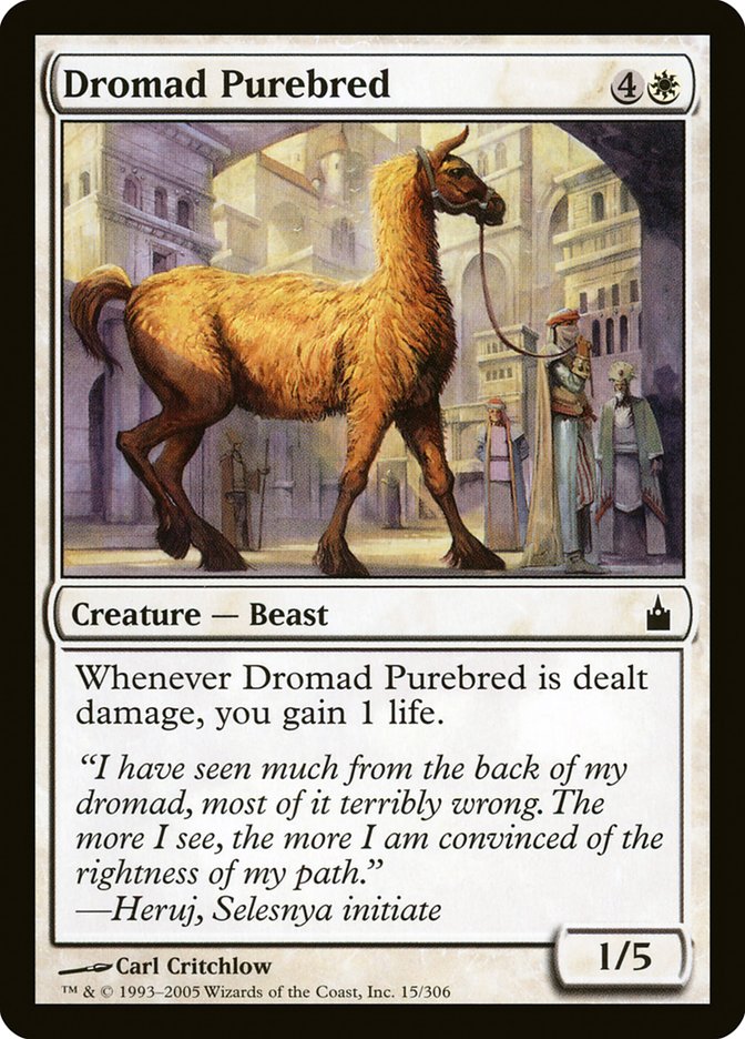 Dromad Purebred [Ravnica: City of Guilds] | Galaxy Games LLC