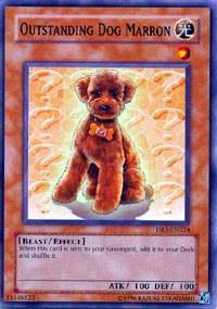 Outstanding Dog Marron [DR1-EN224] Common | Galaxy Games LLC