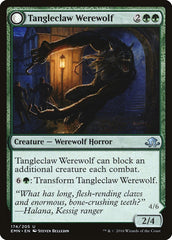 Tangleclaw Werewolf // Fibrous Entangler [Eldritch Moon] | Galaxy Games LLC