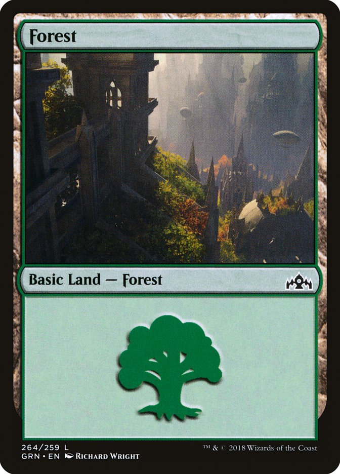 Forest (264) [Guilds of Ravnica] | Galaxy Games LLC