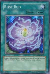 Rose Bud [PP02-EN011] Super Rare | Galaxy Games LLC