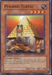 Pyramid Turtle [SDZW-EN007] Common | Galaxy Games LLC
