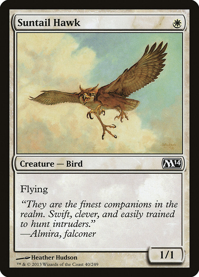 Suntail Hawk [Magic 2014] | Galaxy Games LLC