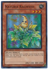 Naturia Ragweed [HA04-EN050] Super Rare | Galaxy Games LLC