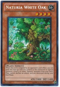 Naturia White Oak [HA04-EN051] Secret Rare | Galaxy Games LLC