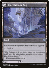 Blackbloom Rogue // Blackbloom Bog [Zendikar Rising] | Galaxy Games LLC