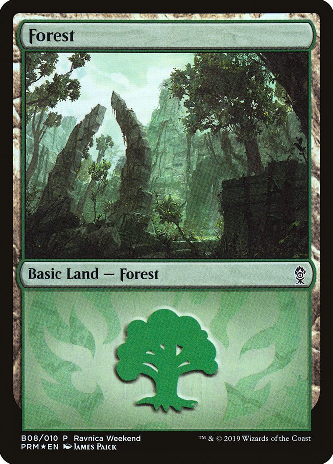 Forest (B08) [Ravnica Allegiance Guild Kit] | Galaxy Games LLC