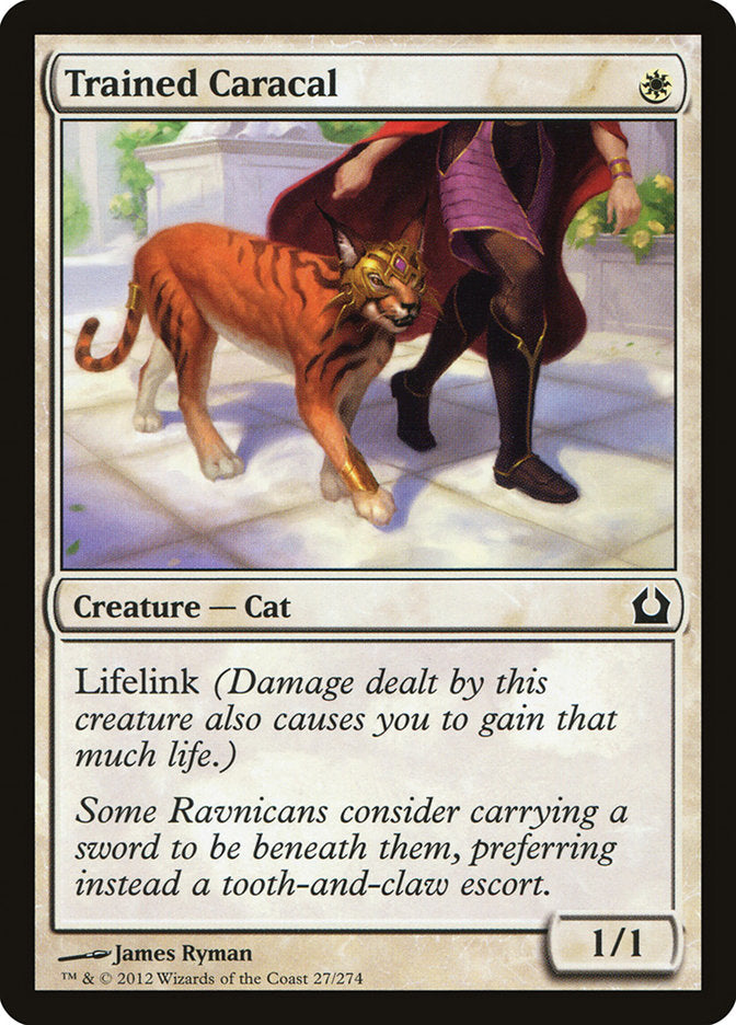 Trained Caracal [Return to Ravnica] | Galaxy Games LLC