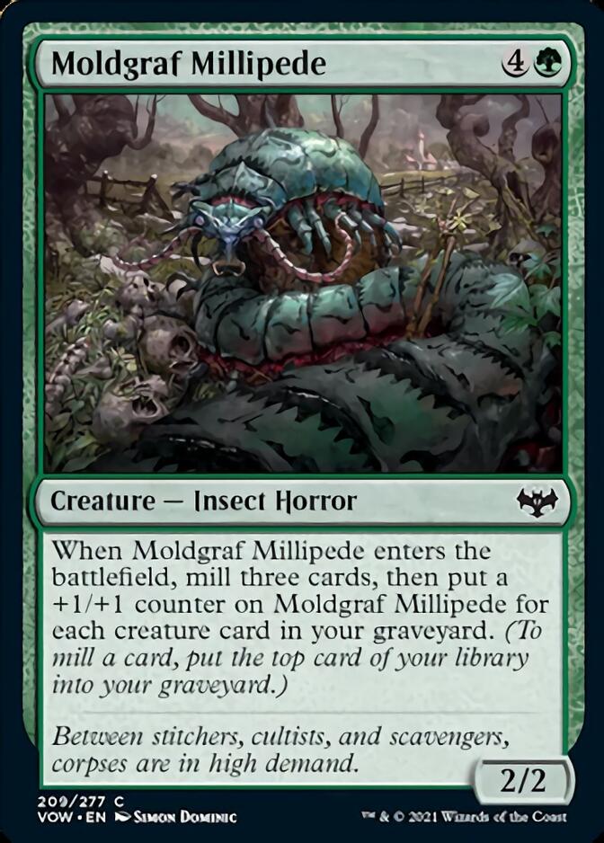 Moldgraf Millipede [Innistrad: Crimson Vow] | Galaxy Games LLC