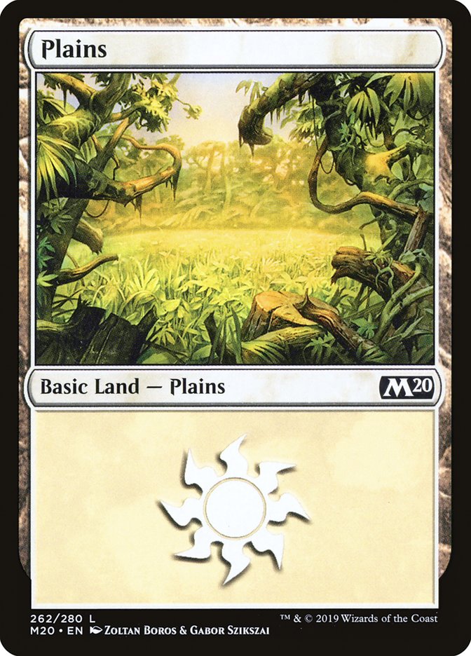 Plains (262) [Core Set 2020] | Galaxy Games LLC