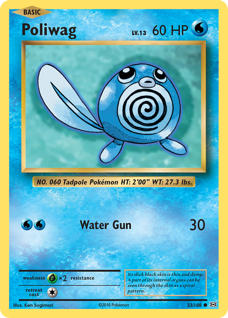 Poliwag (23/108) [XY: Evolutions] | Galaxy Games LLC