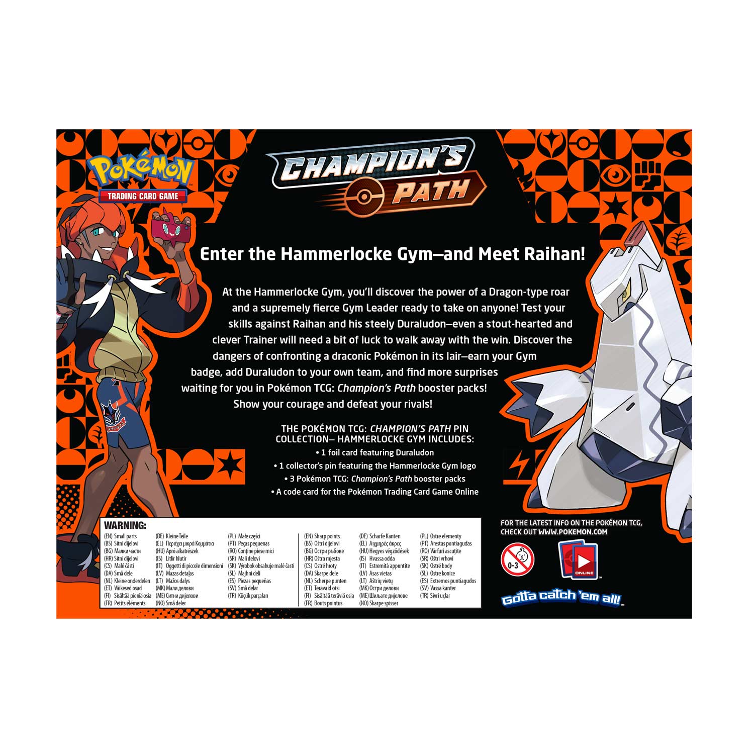 Champion's Path - Pin Collection (Hammerlocke Gym) | Galaxy Games LLC